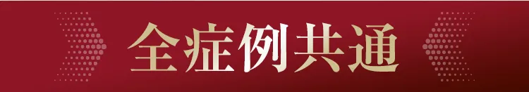 大阪府堺市_テアシス堺鳳整体院_対応症状