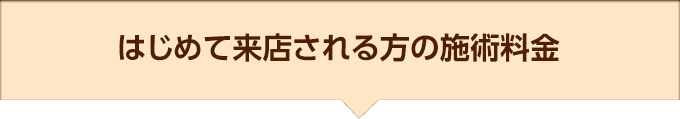 大阪府堺市_テアシス堺鳳整体院_施術料金